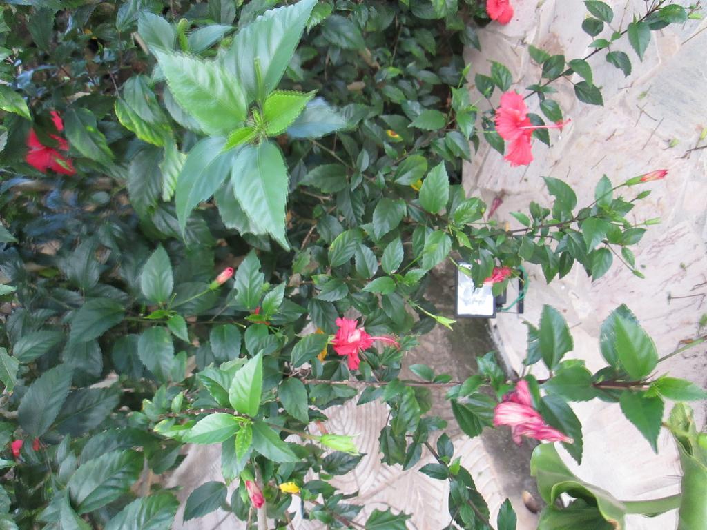 Pousada As Reliquias De Minas Tiradentes Bagian luar foto